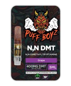 Puff Boyz -NN DMT .5ML(400MG) Cartridge – Grape Germany