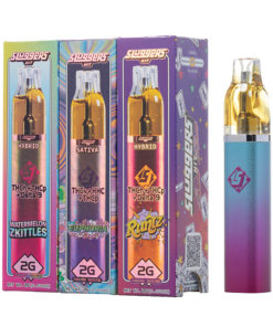 SLUGGERS HIT DISPOSABLE Germany