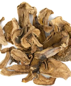 PORCINI DRIED MUSHROOM Germany